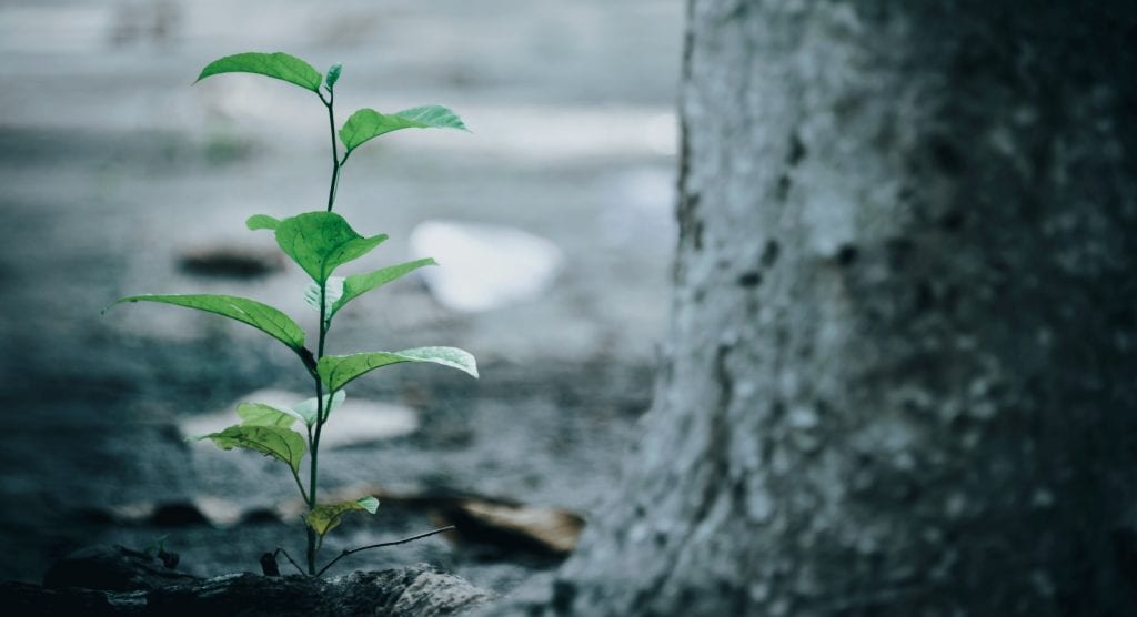resilience-myths-explained